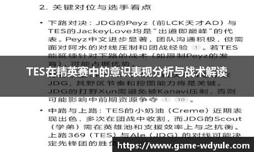 TES在精英赛中的意识表现分析与战术解读